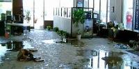 Flood Damage Restoration Geelong image 4